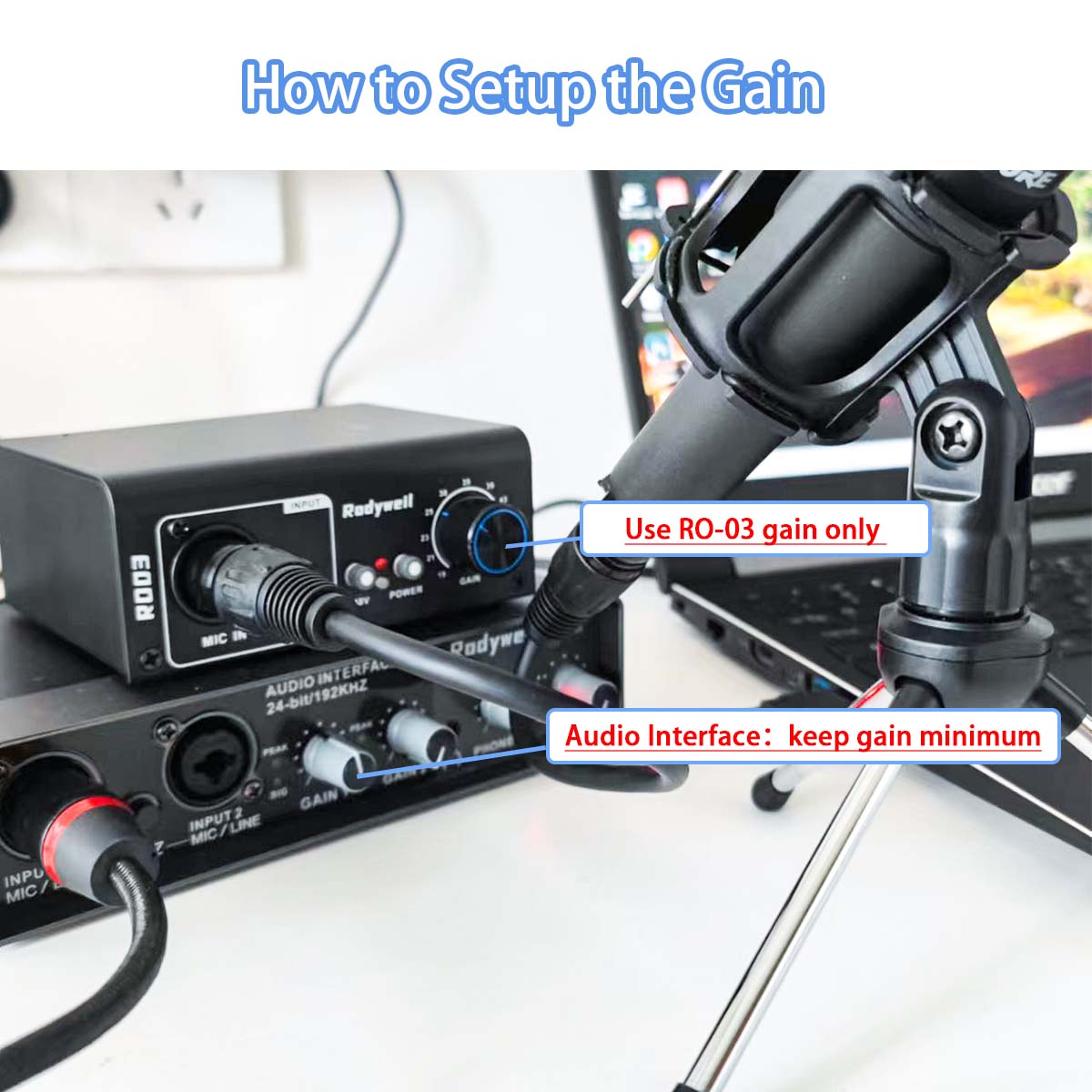 Rodyweil Mic Preamp with 19~75db Adjustable Gain Boost Balaneced Line Out and 48V for Dynamic, Condenser,Ribbon Microphone, Audio Interface, Audio Mixer