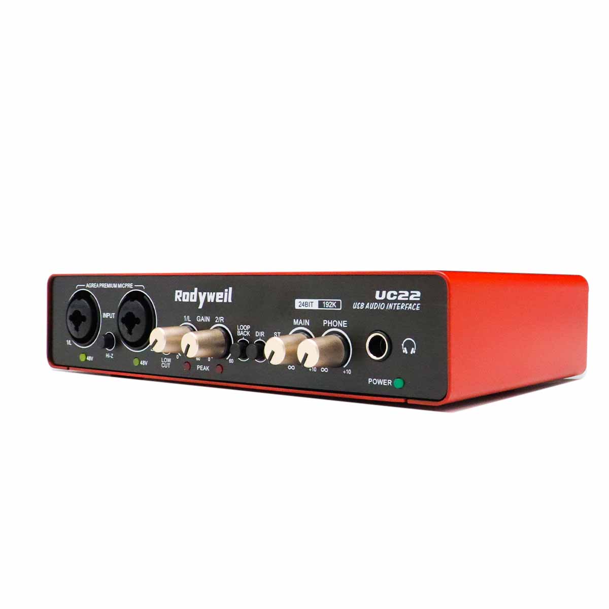 Rodyweil USB Audio Interface 2IO 196KHz 24Bit for Beginner Home Studio Recording Podcasting Live Streaming